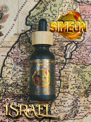 Tribe of Simeon